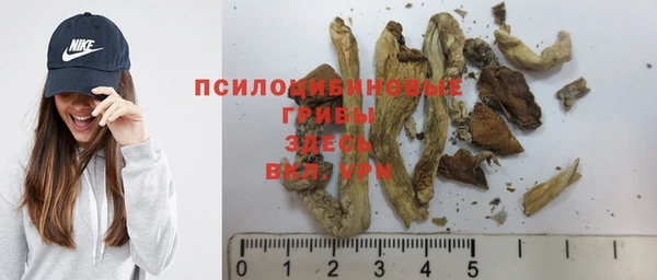 мдма Корсаков